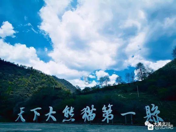 《侦察英雄》出场2分钟的沈院长，得过金钟奖，是演二代
